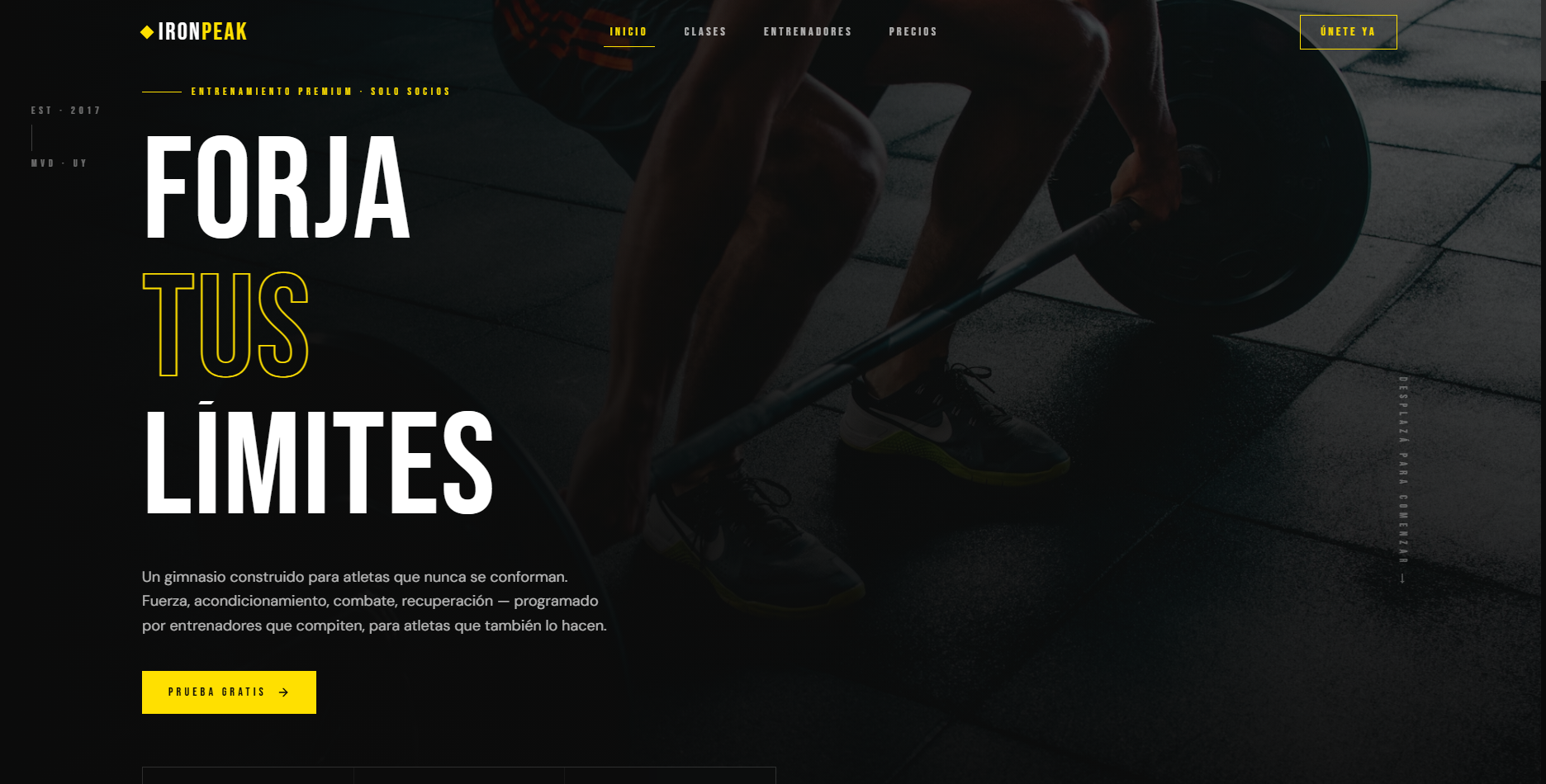 Proyecto IronPeak Gym